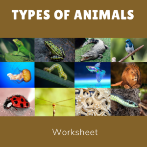 Types of Animals Worksheet (Vertebrates and Invertebrates)