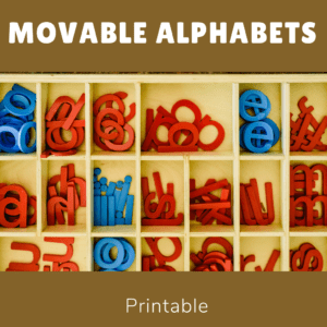 Montessori Moveable Alphabets
