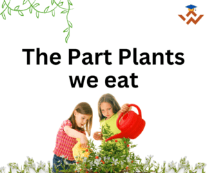 The part plants we eat