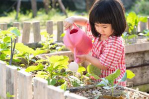 what are Montessori Practical Life activities