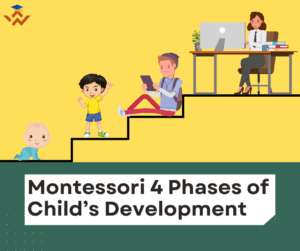 Montessori 4 Phases of Child’s Development - Wisdomnest